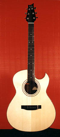 Cutaway Rosewood Acoustic