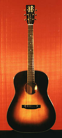 Acoustic guitar with Seahorse inlays