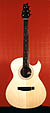 Cutaway acoustic