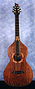 Kona/Weisenbourne guitar